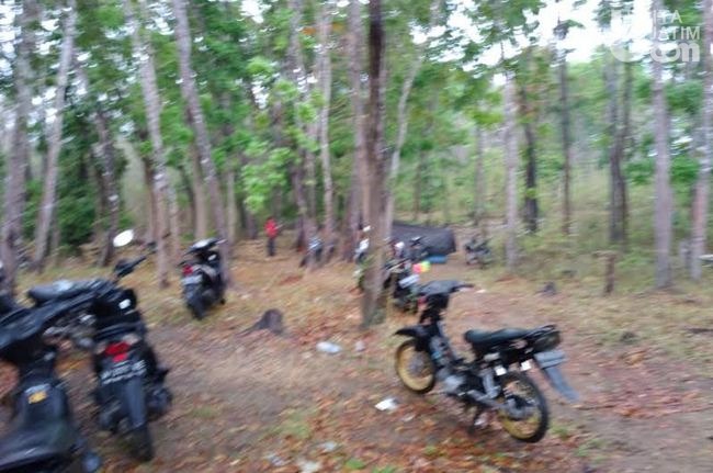 Gerebek Sabung Ayam di Tengah Hutan, Polisi Amankan 14 Sepeda Motor