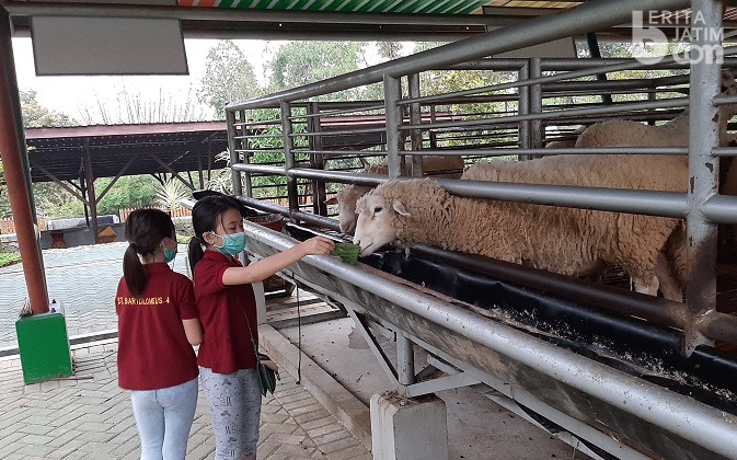Ubaya Buka ‘Edu Eco Agrowisata’ di Trawas Mojokerto