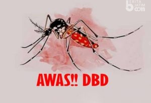 Musim Penghujan, Dinkes Pamekasan Himbau Masyarakat Waspada DBD
