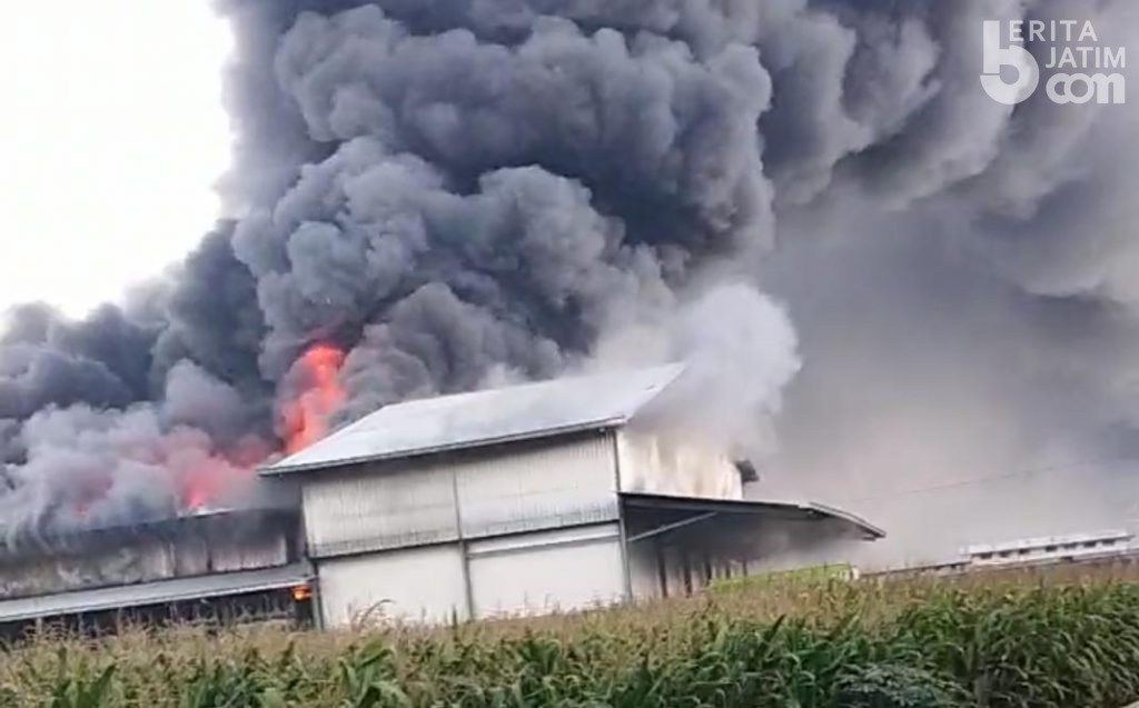 Pabrik Pemotongan Ayam Terbakar, 5 Unit Damkar Diterjunkan