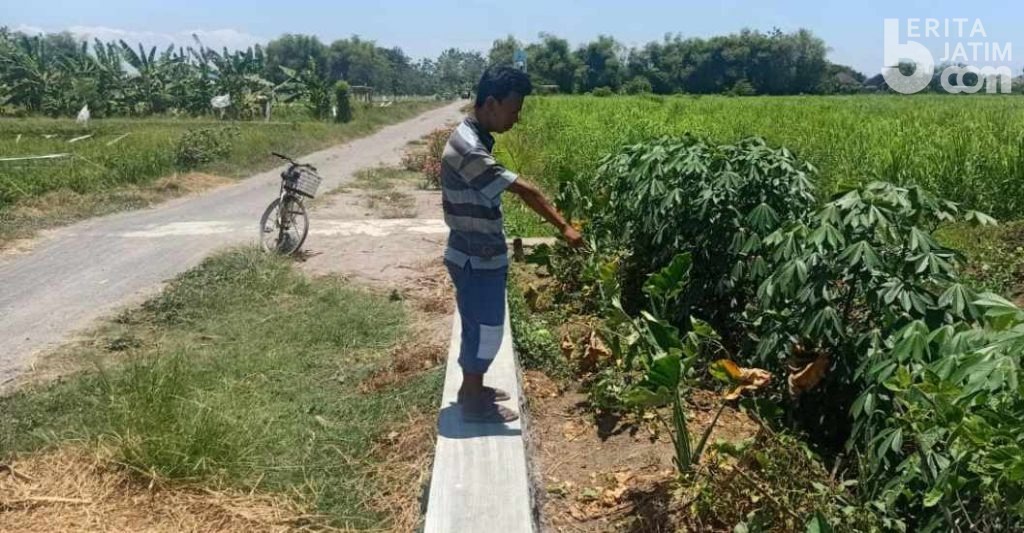 Polsek Sukodono Sidoarjo Ungkap Identitas Pelaku Penganiayaan Terhadap Adin