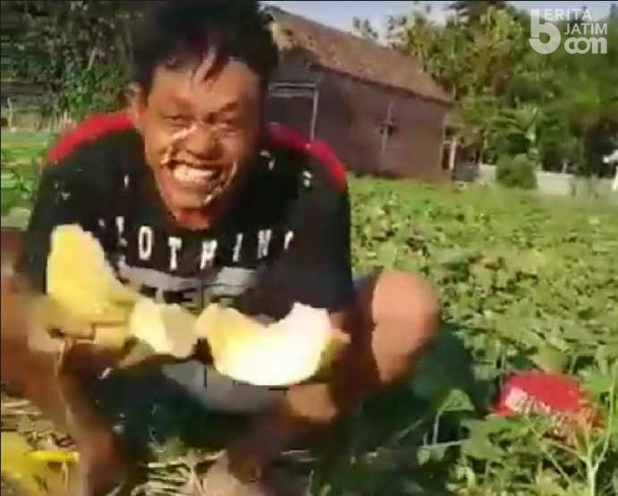 Viral, Petani Pecahkan Buah Garbis ke Kepala Sambil Marah-marah