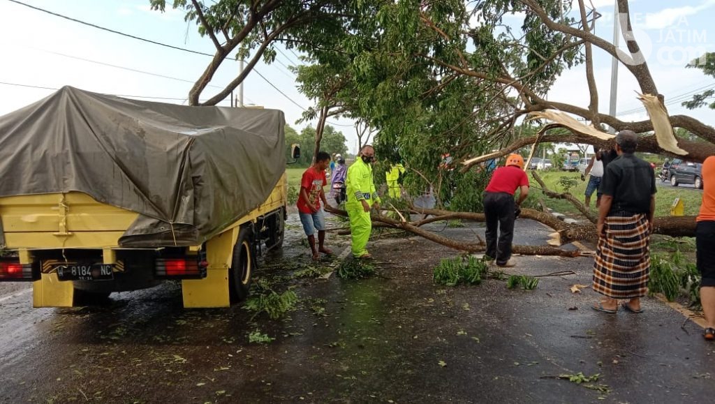7 Pohon Tumbang, Akses ke Suramadu Macet, Antrean Kendaraan 2 Kilometer