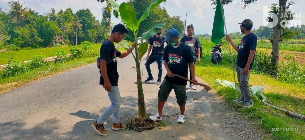 Ratusan Aktivis GP Ansor Tanami Jalan Berlubang di Jember dengan Pohon Pisang