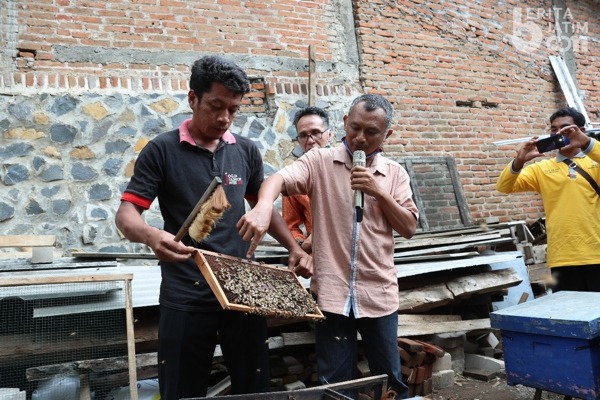BPSKL Kalimantan Belajar Budidaya Lebah Madu dari Peternak Kabupaten Kediri