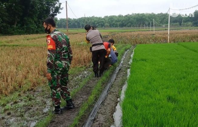 Diduga Terkena Jebakan Tikus, Seorang Petani Meninggal