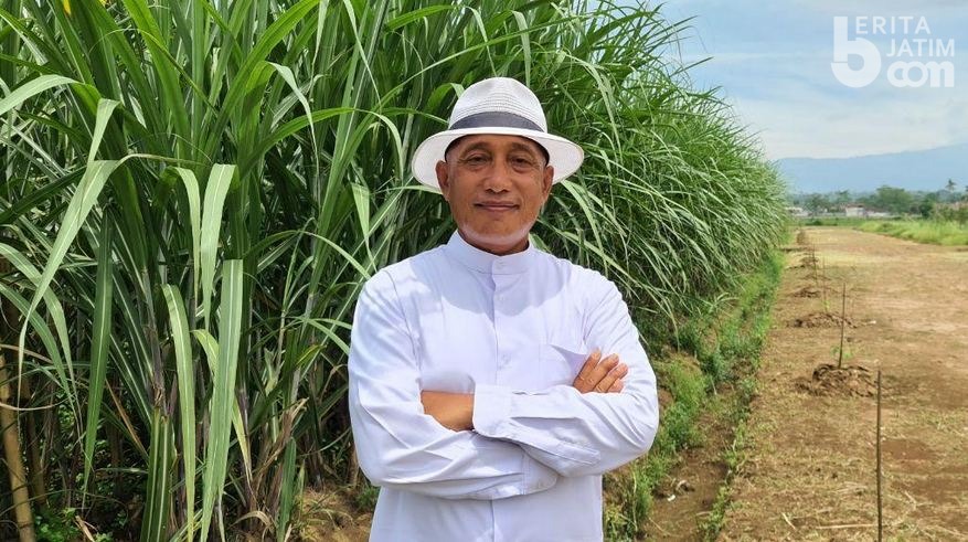Arum Sabil Ajak Lirik Bio Energi Perkebunan