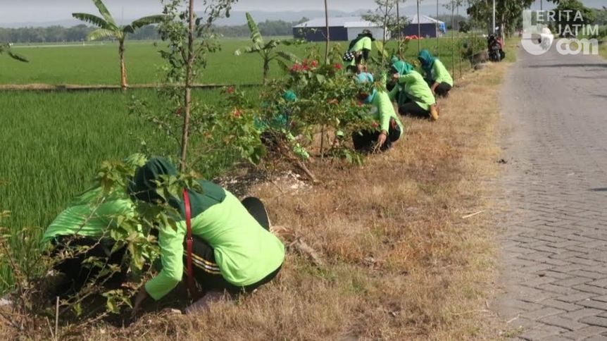 Desa di Bojonegoro Ini Bikin Aksi Tanam 15 Ribu Pohon