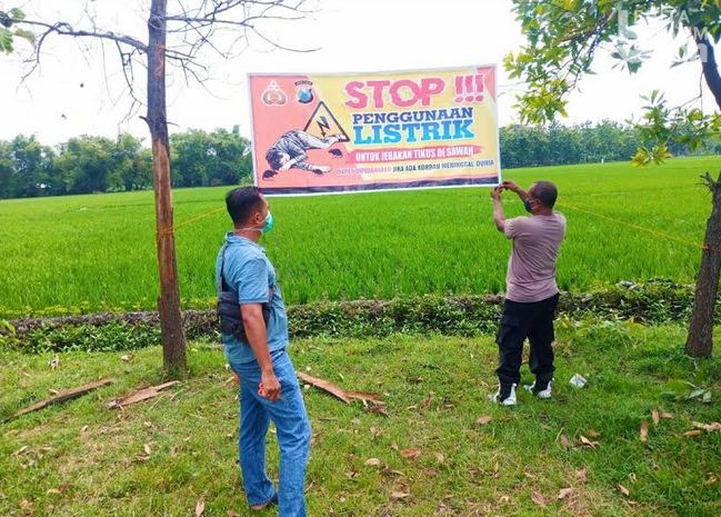Sudah Telan 5 Korban Manusia, Jebakan Tikus Kini Dilarang Polisi