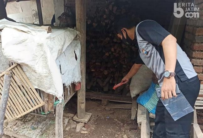 Bayi Dipukul, Meninggal, lalu Dikubur di Kandang Ayam