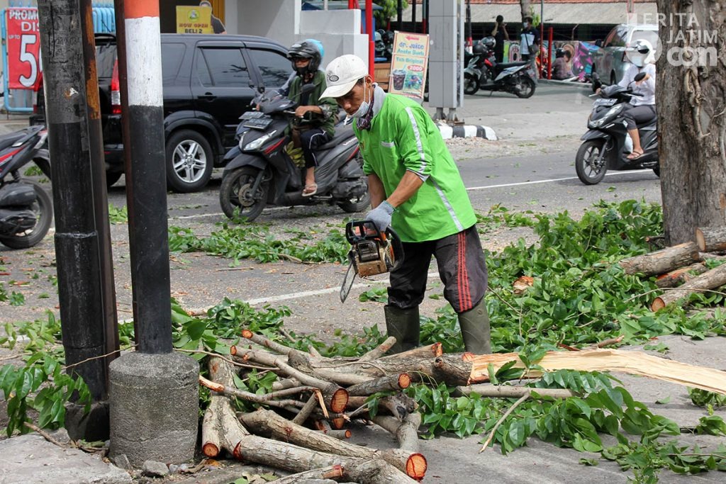 Musim Hujan, DLHKP Kota Kediri Pangkas Pohon di Pinggir Jalan