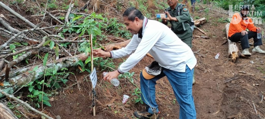 Antisipasi Banjir Bandang, 1.100 Bibit Tanaman Keras Ditanam di Lereng Tahura Raden Soerjo Mojokerto