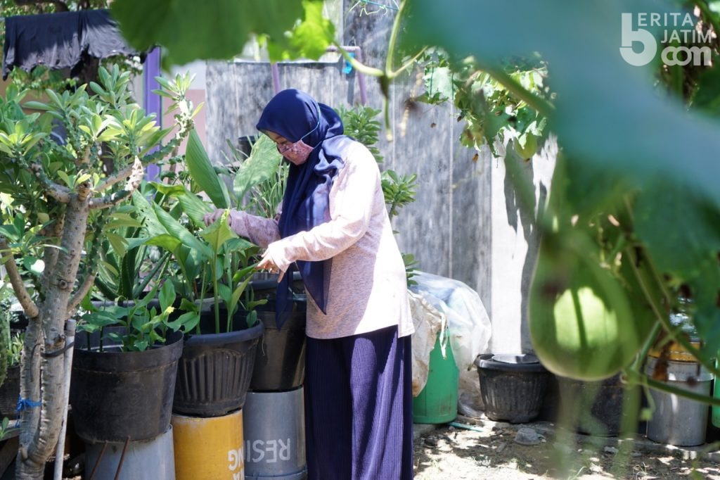 The Beauty of Humanity, Antarkan PROPER Emas Bagi PT PJB