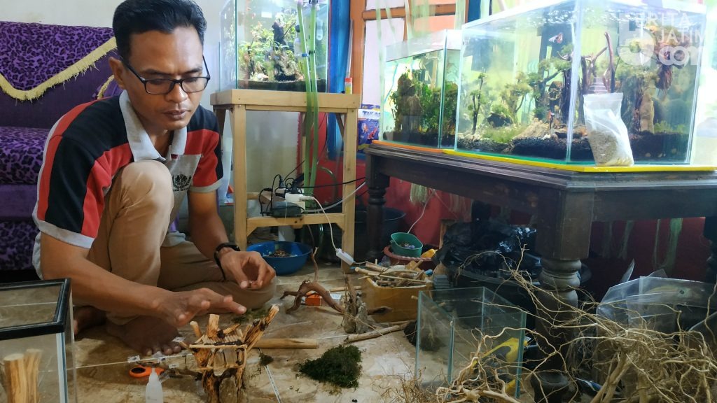 Berawal dari WFH, Warga di Mojokerto Tekuni Akuarium Hias