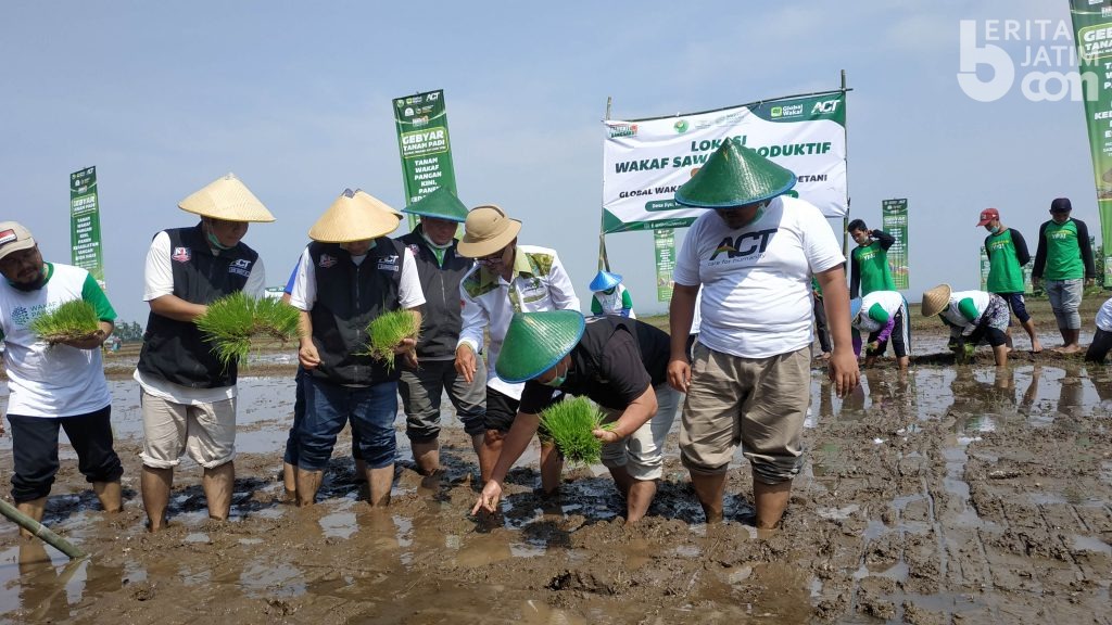 Global Wakaf ACT dan YP3I Gebyar Tanam Padi di Mojokerto