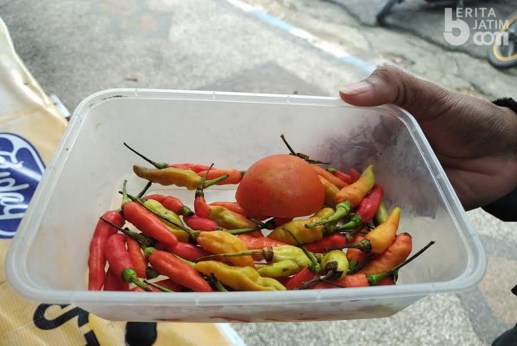 Harga Cabai Rawit di Sampang Per Biji Rp 250