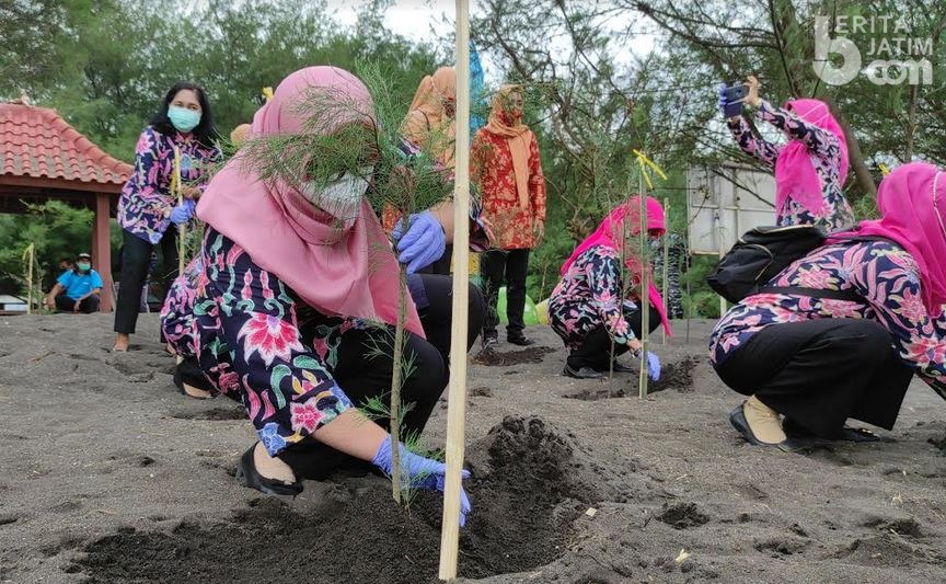 Cegah Abrasi, Pantai di Banyuwangi Ini Ditanami Seribu Cemara
