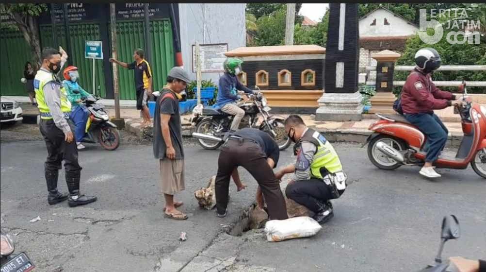 Bahayakan Pengendara, Lantas Polres Tuban Tambal Darurat Jembatan Berlubang
