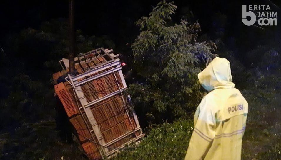 Truk Angkut Ayam Terjun ke Sungai di Semanding Tuban