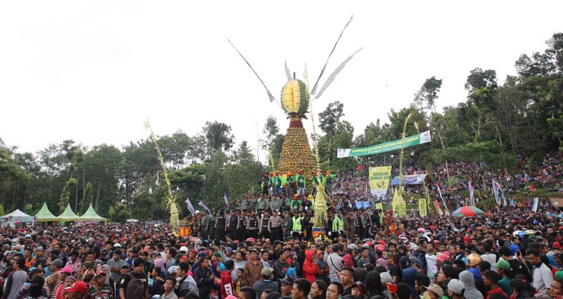 Sudah Dianggarkan Rp 280 Juta, Kenduri Durian Wonosalam 2021 Ditiadakan