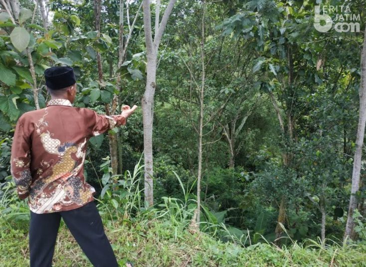 Seorang Petani di Magetan Meninggal Disengat Tawon Vespa