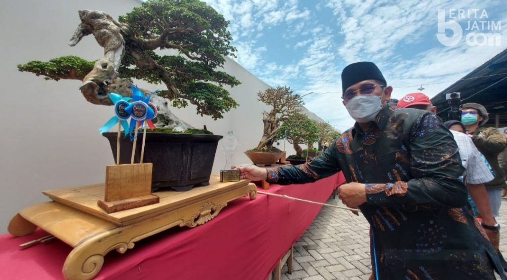 Pedagang Tanaman Bonsai Sidoarjo Raup Ratusan Juta Rupiah