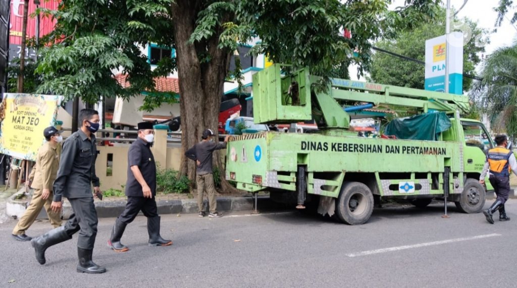 Rawan Roboh, Pohon Sono Tua di Jalan Kombes Pol M. Duryat Sidoarjo Ditebang