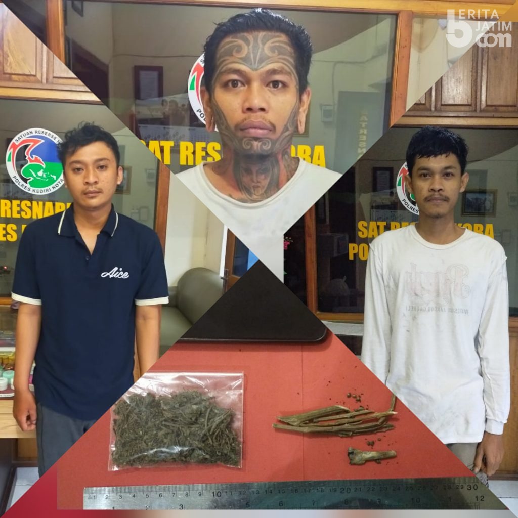 3 Pria Ini Simpan Ganja lalu Diringkus Satresnarkoba Polresta Kediri