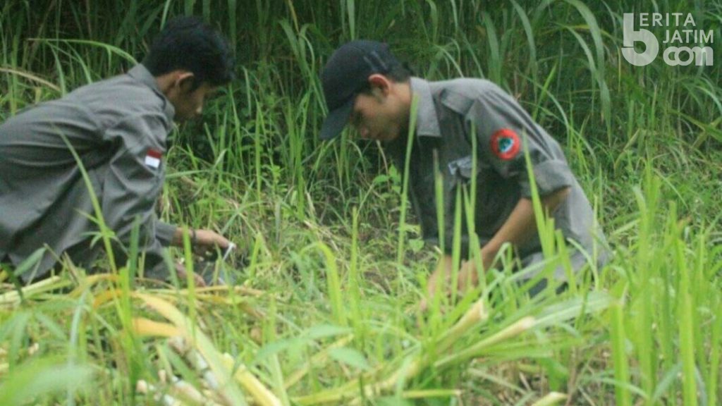 KOMPPACK Tanam Pohon di Lereng Gunung Welirang Mojokerto