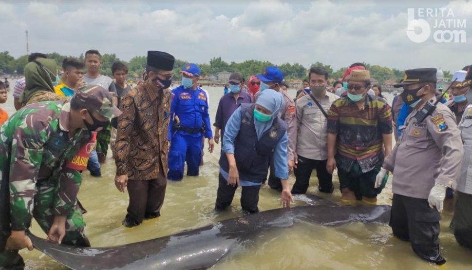 Selamatkan Ikan Paus, Khofifah Bagikan Sembako ke Pesantren Al-Anwar Bangkalan