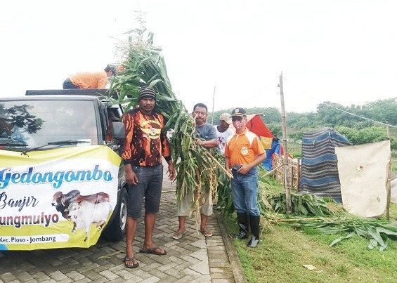 Banjir Jombang, Bantuan untuk Ternak Pengungsi Masih Mengalir