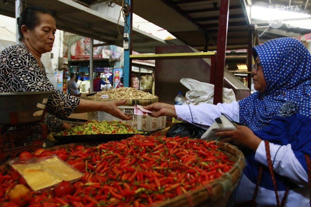Fase Tumbuh, Diduga Jadi Pemicu Harga Cabe Melejit di Malang