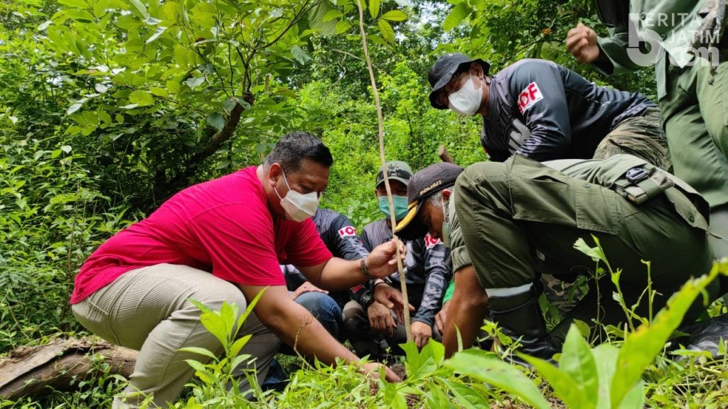 Komunitas Trail dan Offroader Tanam 500 Pohon di Gunung Klotok Kediri
