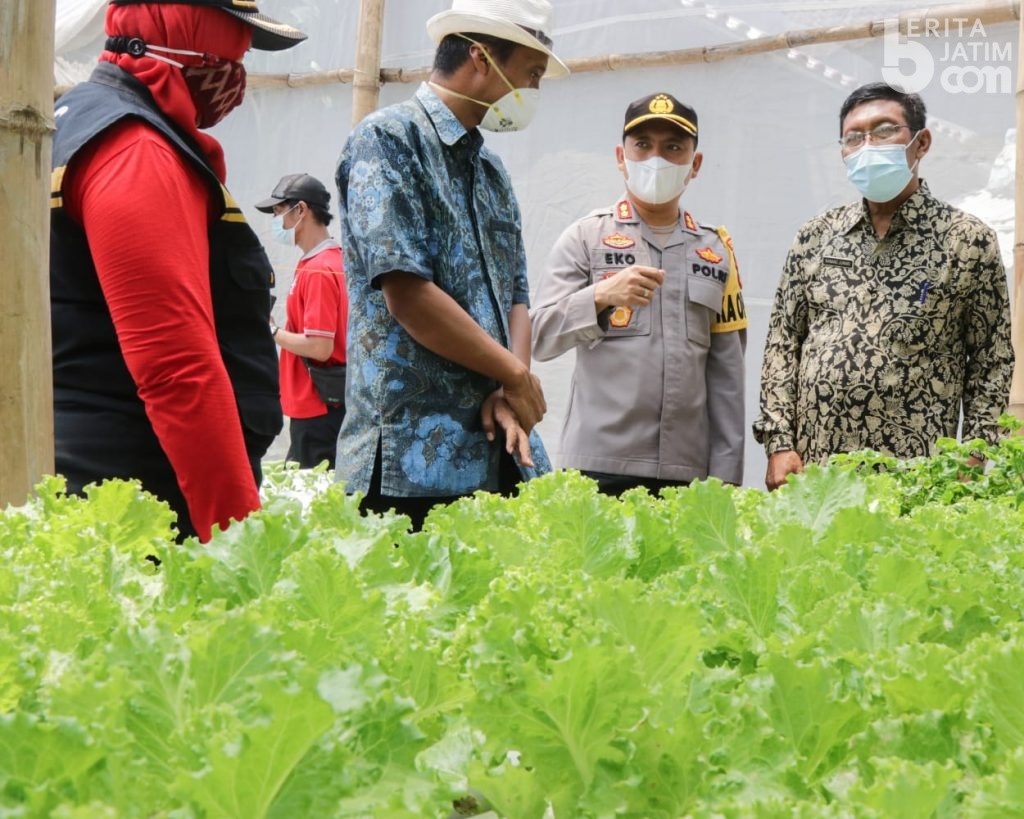 Kapolres Kediri Kota Kunjungi Budidaya Hidroponik Warga Banjar Mlati