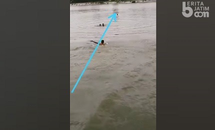 Penampakan Remaja Berenang di Waduk Kalimati Mojokerto: Sampai Tengah, Lalu Tenggelam