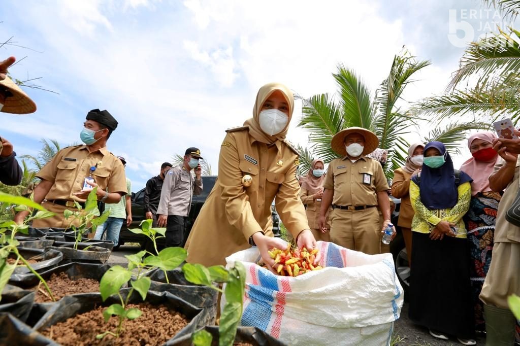 Viral Cabai Dicat, Bupati Ipuk : Itu Merugikan Petani