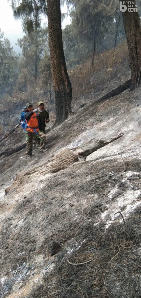 Dishut Jatim Rapatkan Barisan Cegah Kebakaran Hutan Tahun Ini