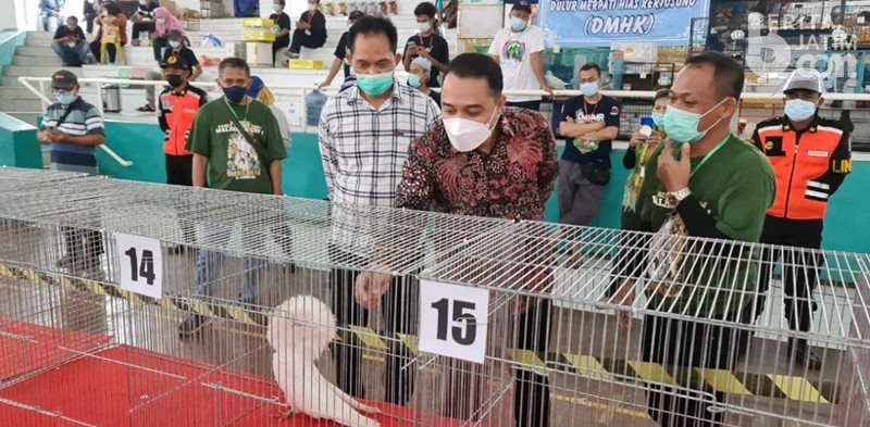 Di Kontes Merpati Hias, Cak Eri Cahyadi Takjub
