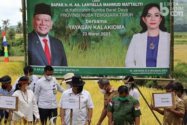 Dukung Penundaan Impor, Ketua DPD Berharap Bulog Serap Beras Petani