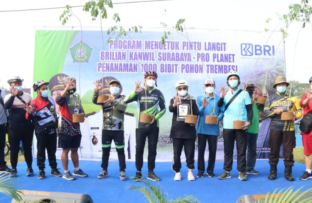 Gowes ke Jabon Untuk Tanam Pohon Trembesi