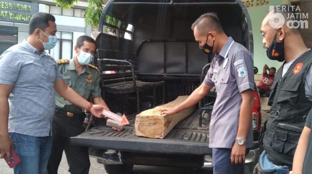 Curi Sebatang Kayu Jati, Seorang Kakek Tertangkap Petugas Perhutani