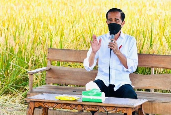 Jokowi: Beras Tidak Perlu Impor