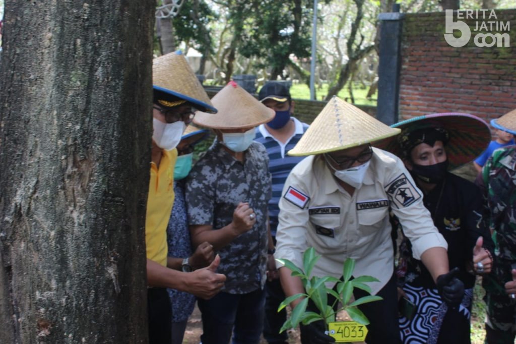 Tanam 11 Ribu Pohon Pule, ‘Gerakan Sedekah Oksigen’ Ala Wawali Kota Malang