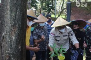 Tanam 11 Ribu Pohon Pule, ‘Gerakan Sedekah Oksigen’ Ala Wawali Kota Malang
