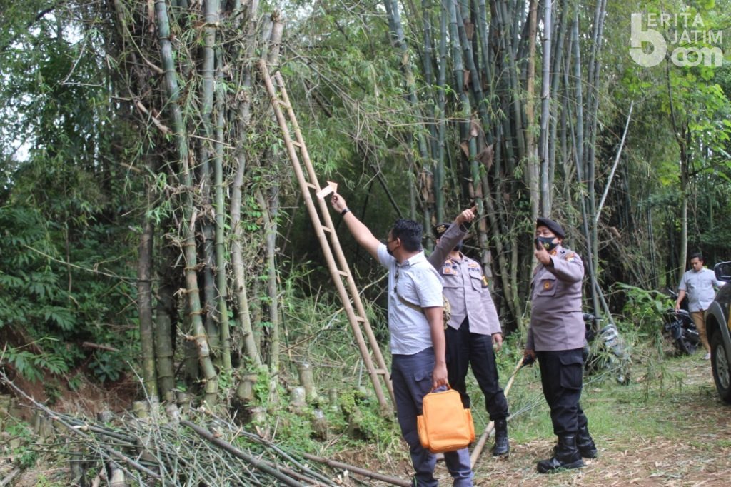 Tebang Pohon Bambu, Lansia Asal Magetan Meninggal Tersengat Listrik