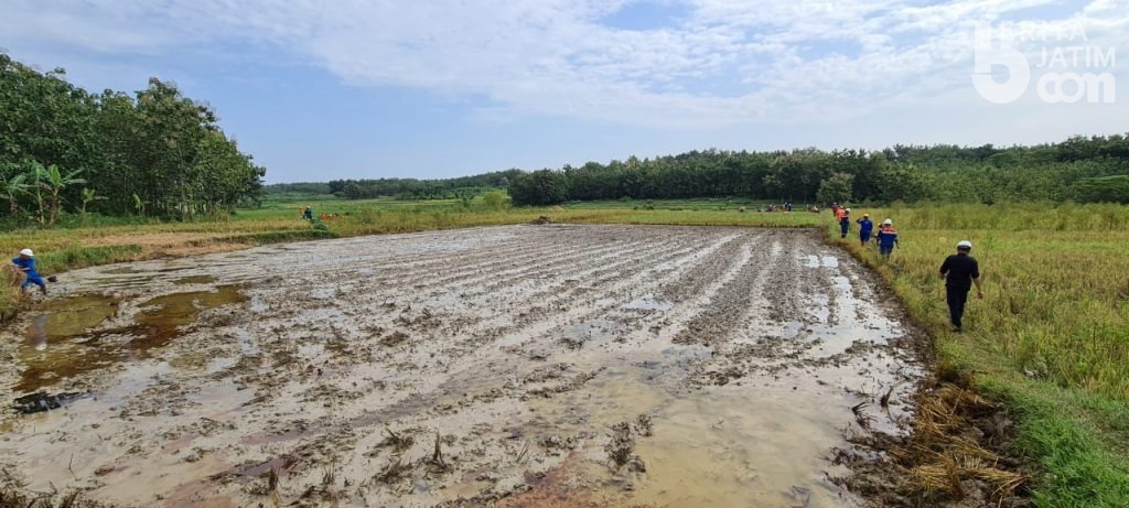 Cepu Field Selesai Lakukan Perbaikan Pipa di Blora