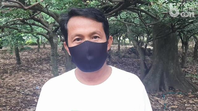 Warisi Ilmu dari Ortu, Pria Kediri Sukses Budidaya Blimbing
