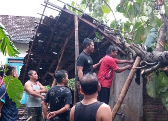 Hujan Angin Porak-porandakan Kediri, Pepohonan Tumbang, 1 Rumah Rusak