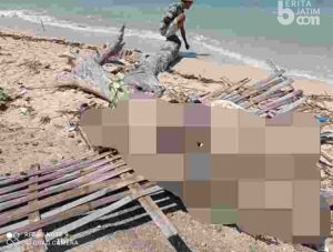 Ini Hasil Otopsi Jenazah Membusuk di Pulau Mandangin Sampang