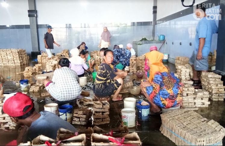 Fakta Menarik Pengolahan Pindang di Brondong Lamongan